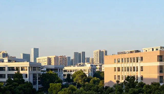 技术转让模式如何影响企业选型决策